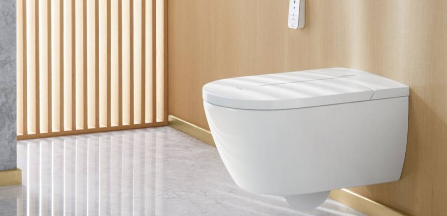 novedades inodoros villery boch 2020
