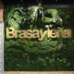Revestimientos musgo, decoración vegetal - Tono Bagno, Barcelona